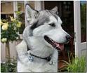 Sheena 6-2010 081